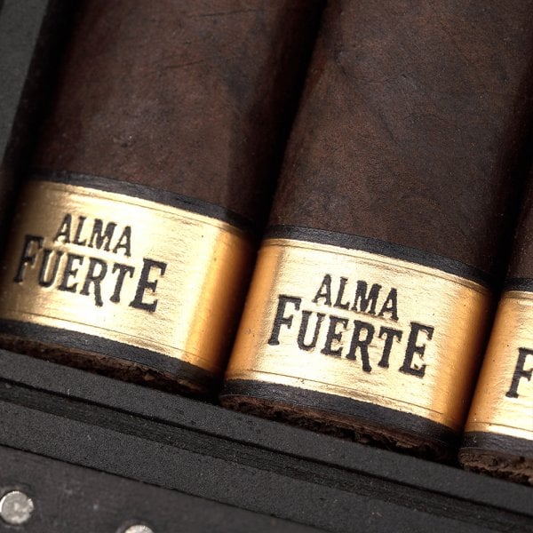 Plasencia Alma Fuerte Nestor IV 帕拉森 烈魂系列內斯特4