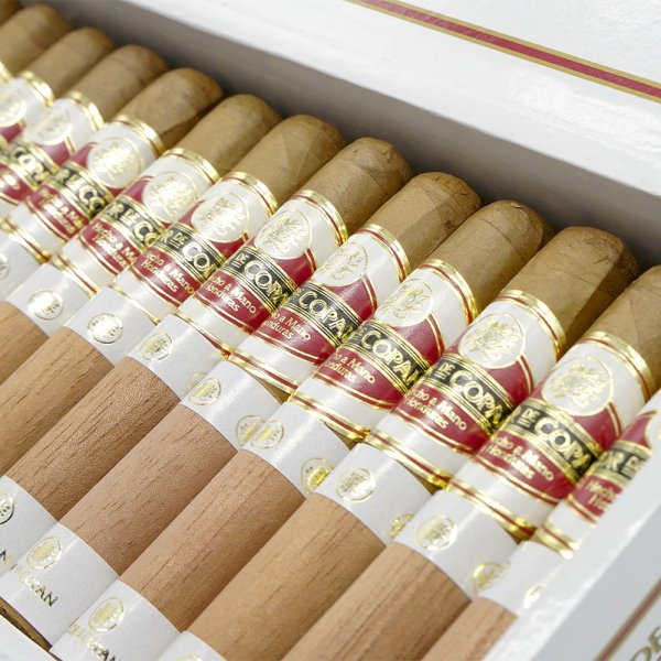 Flor de Copan Perla 科潘之花 珍珠