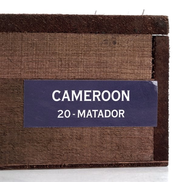 Kristoff Cameroon Matador 克里斯托弗 喀麥隆 鬥牛士