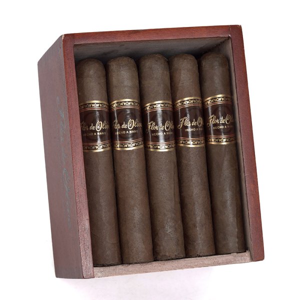 Oliva Flor De Oliva Robusto 奧利瓦 奧利瓦之花 羅伯圖