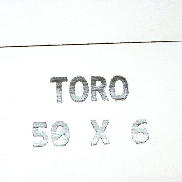 Aladino Connecticut Toro 阿拉丁 康涅狄格州 托罗