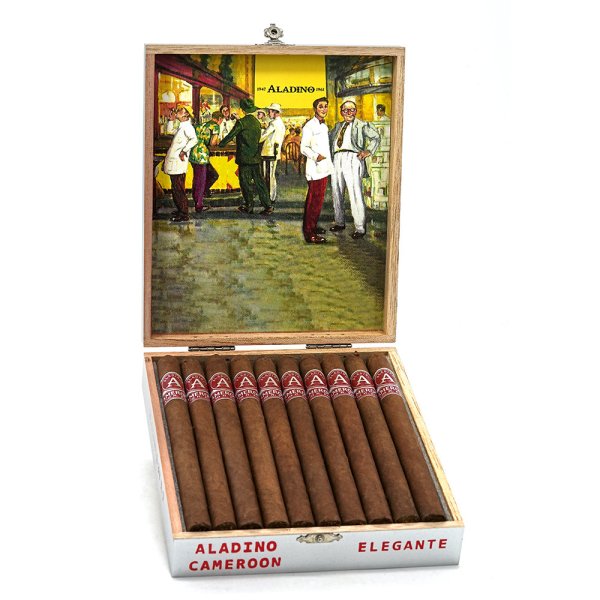 Aladino Cameroon Elegante 阿拉丁 喀麥隆 優雅