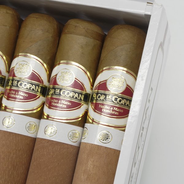 Flor de Copan Titan 科潘之花 泰坦