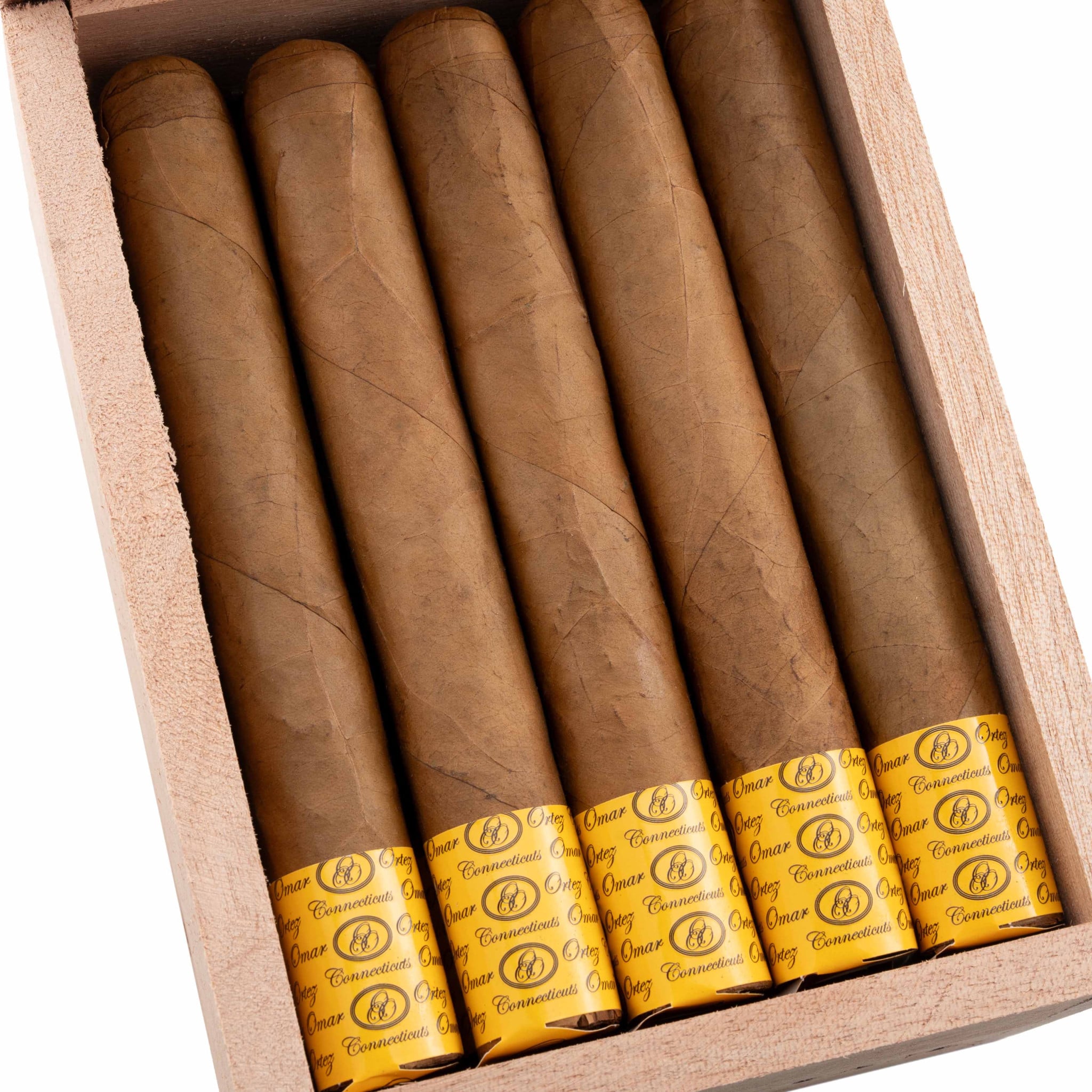 Omar Ortez Connecticut Toro 奥迪斯 康涅狄格州 托羅