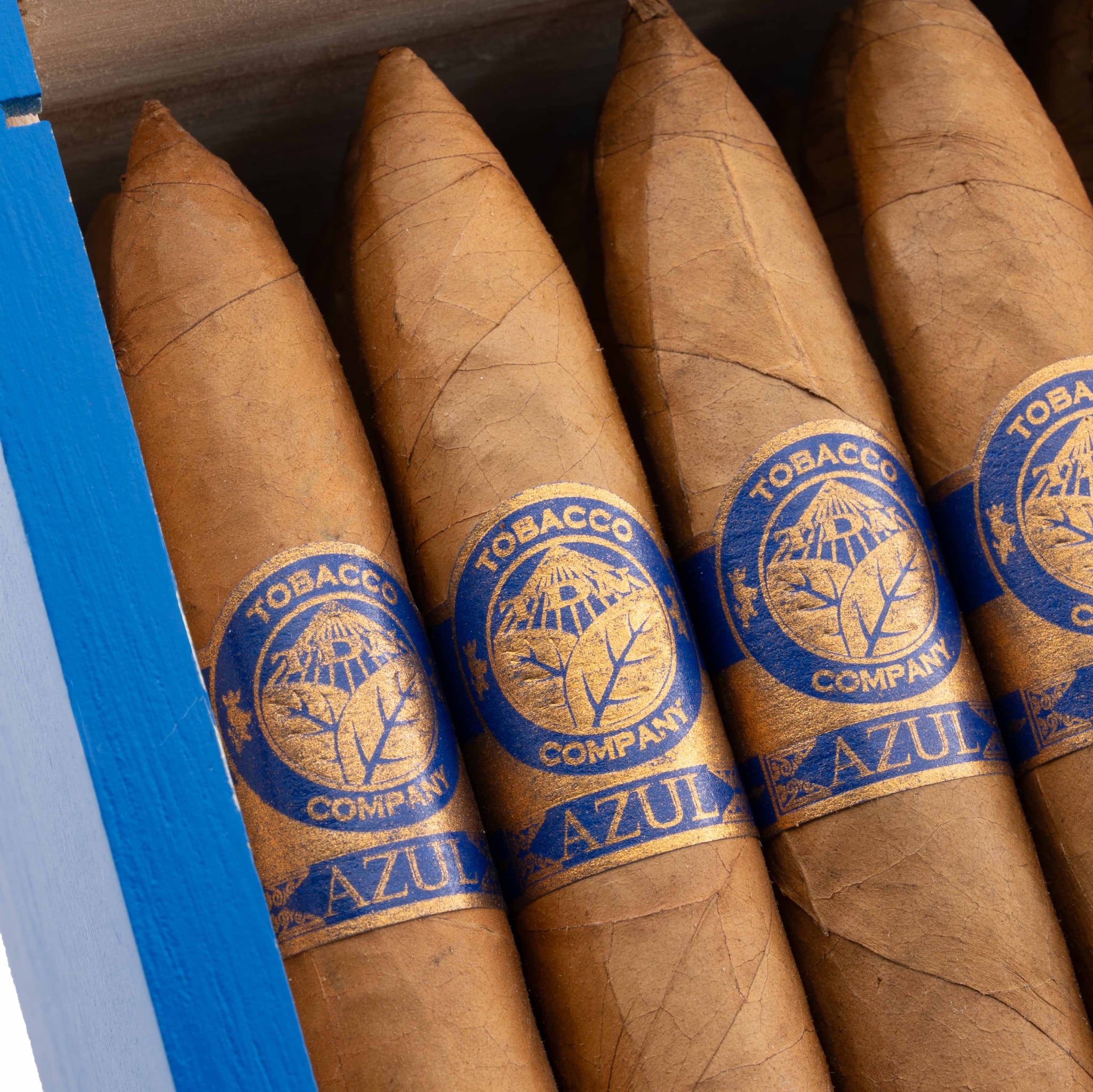 Torres de Nicaragua Azul Torpedo 托乐尼加 蔚蓝 鱼雷