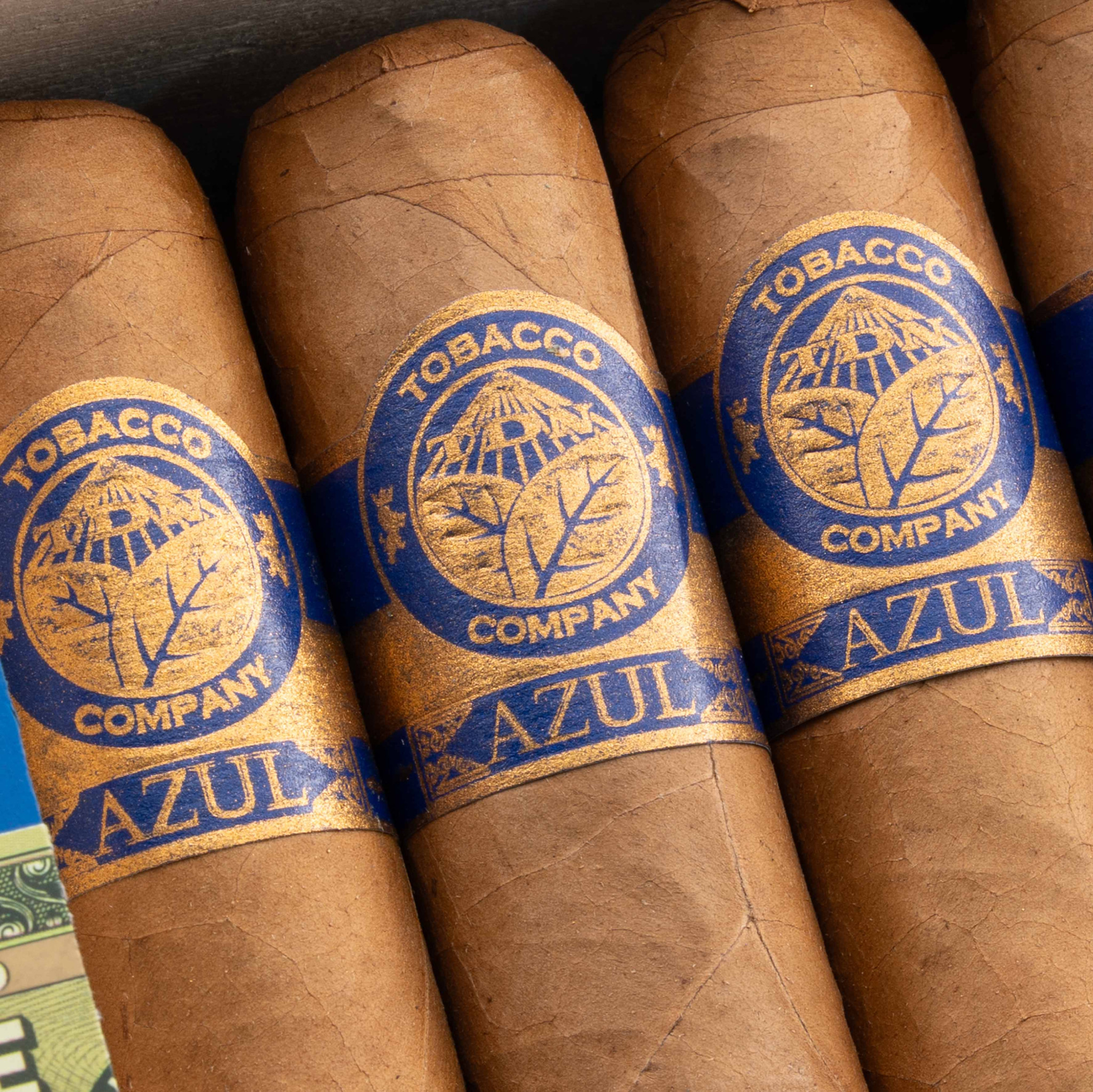 Torres de Nicaragua Azul Short Gordo 托樂尼加 蔚藍 短戈多