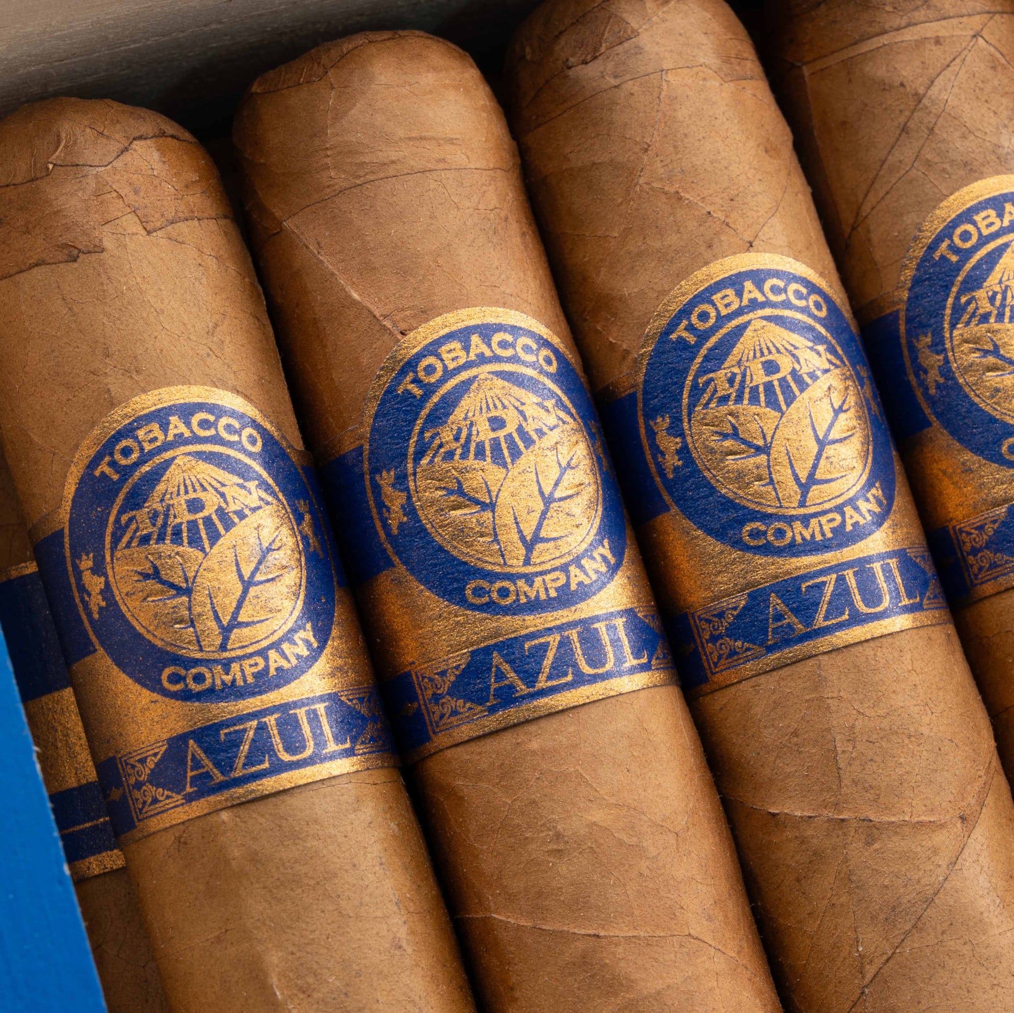 Torres de Nicaragua Azul Robusto Extra 托樂尼加 蔚藍 特級羅伯圖