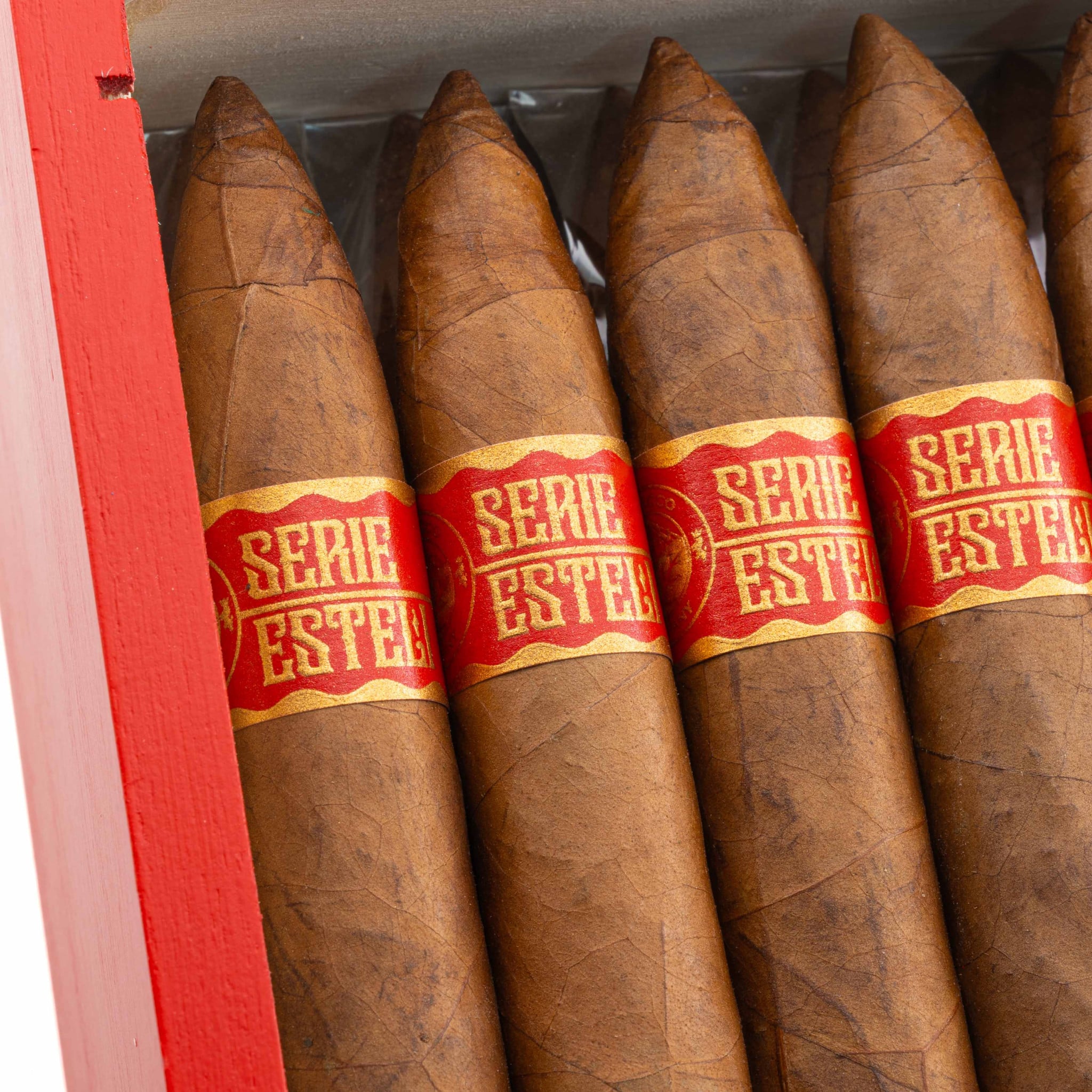 Torres de Nicaragua Serie Estelí Torpedo 托樂尼加 埃斯特利系列 魚雷
