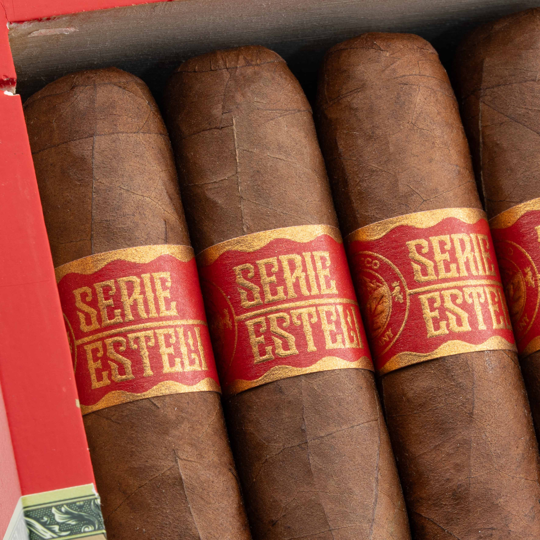 Torres de Nicaragua Serie Estelí Petit Toro 托樂尼加 埃斯特利系列 小托羅