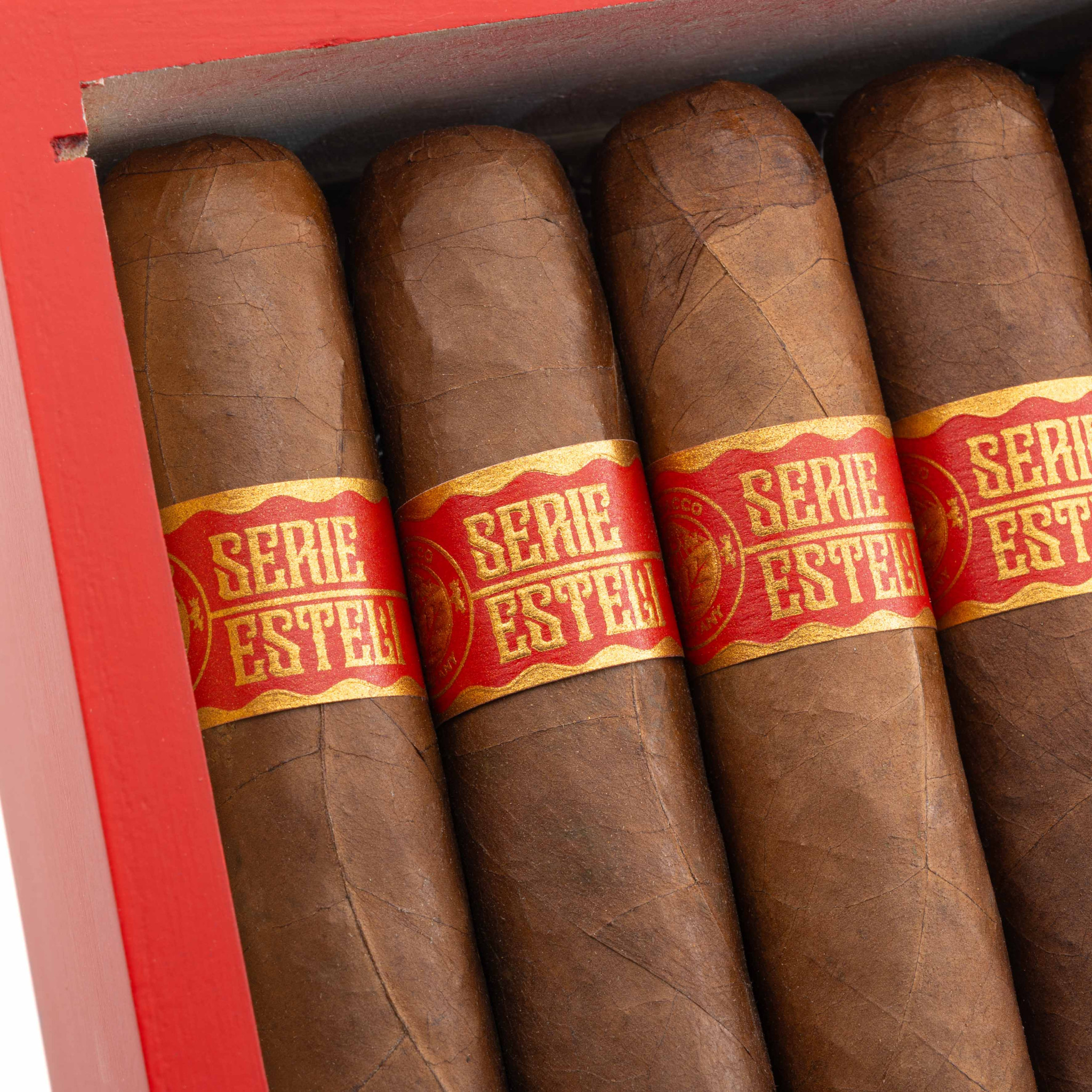 Torres de Nicaragua Serie Estelí Gordo 托樂尼加 埃斯特利系列 戈多
