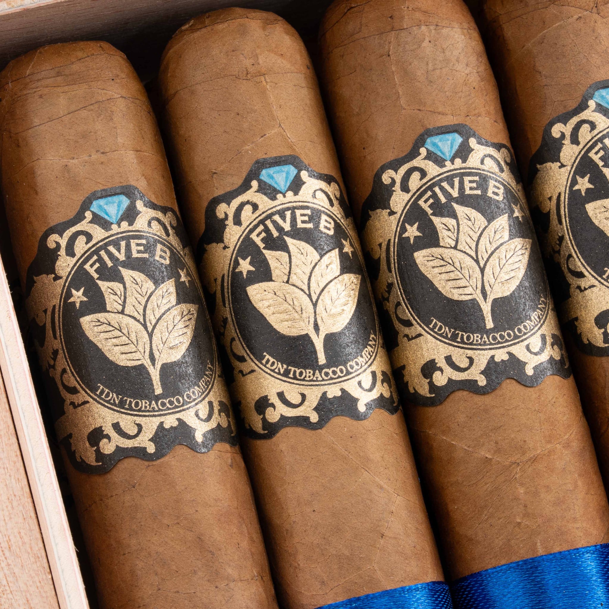 Torres de Nicaragua Five B Short Gordo 托樂尼加 5B 短戈多