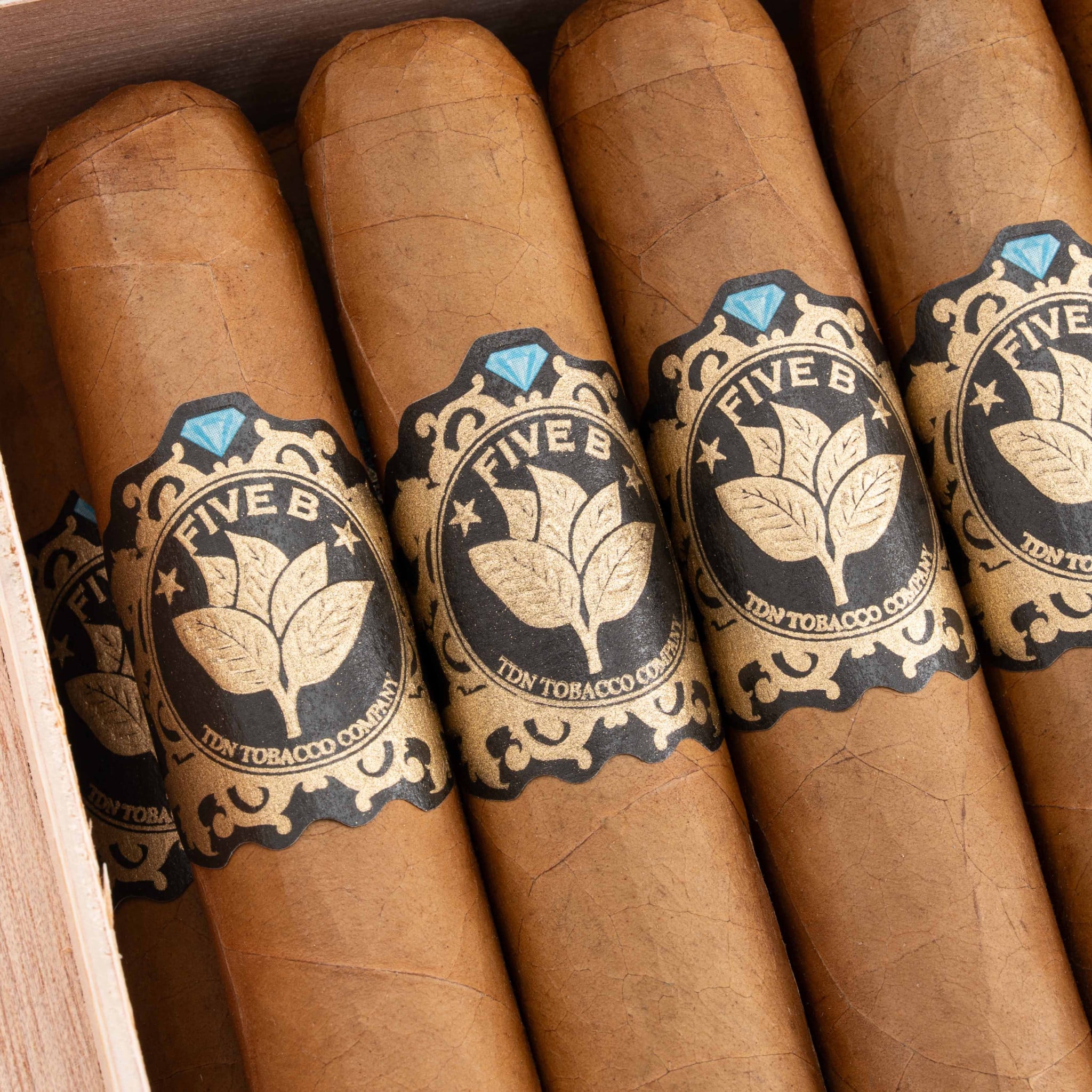 Torres de Nicaragua Five B Gordo 托樂尼加 5B 戈多