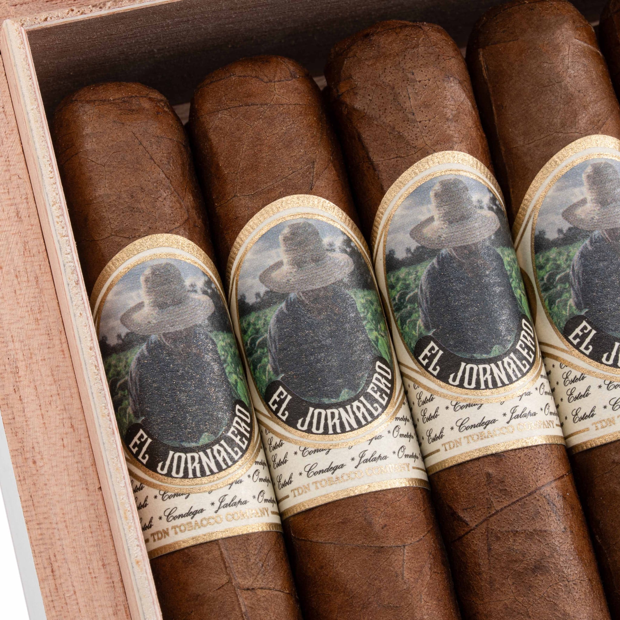 Torres de Nicaragua El Jornalero Robusto 托樂尼加 勞動者 羅伯圖