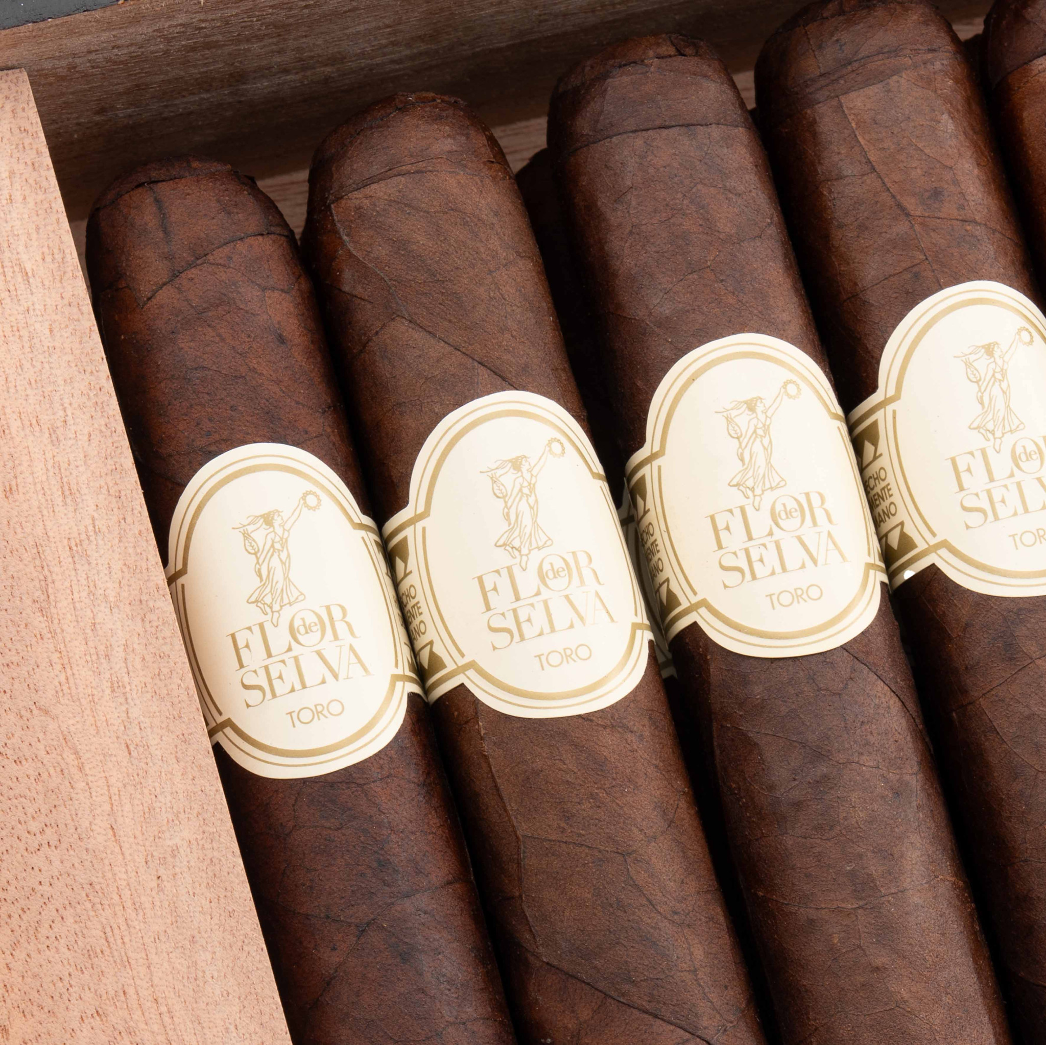 Flor de Selva Coleccion Maduro Toro 塞爾瓦之花 珍藏系列 馬杜羅 托羅