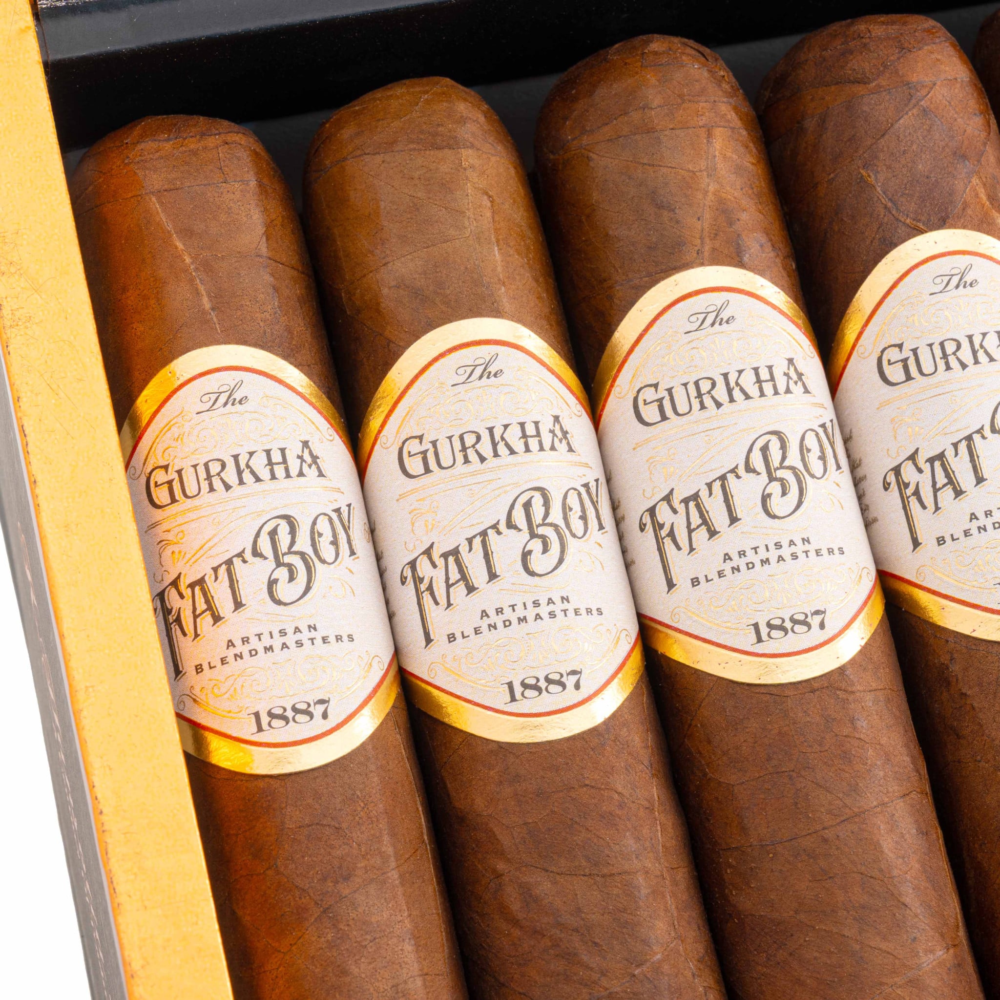 Gurkha Fatboy 6 X 66 Toro 廓爾喀 胖男孩 托羅