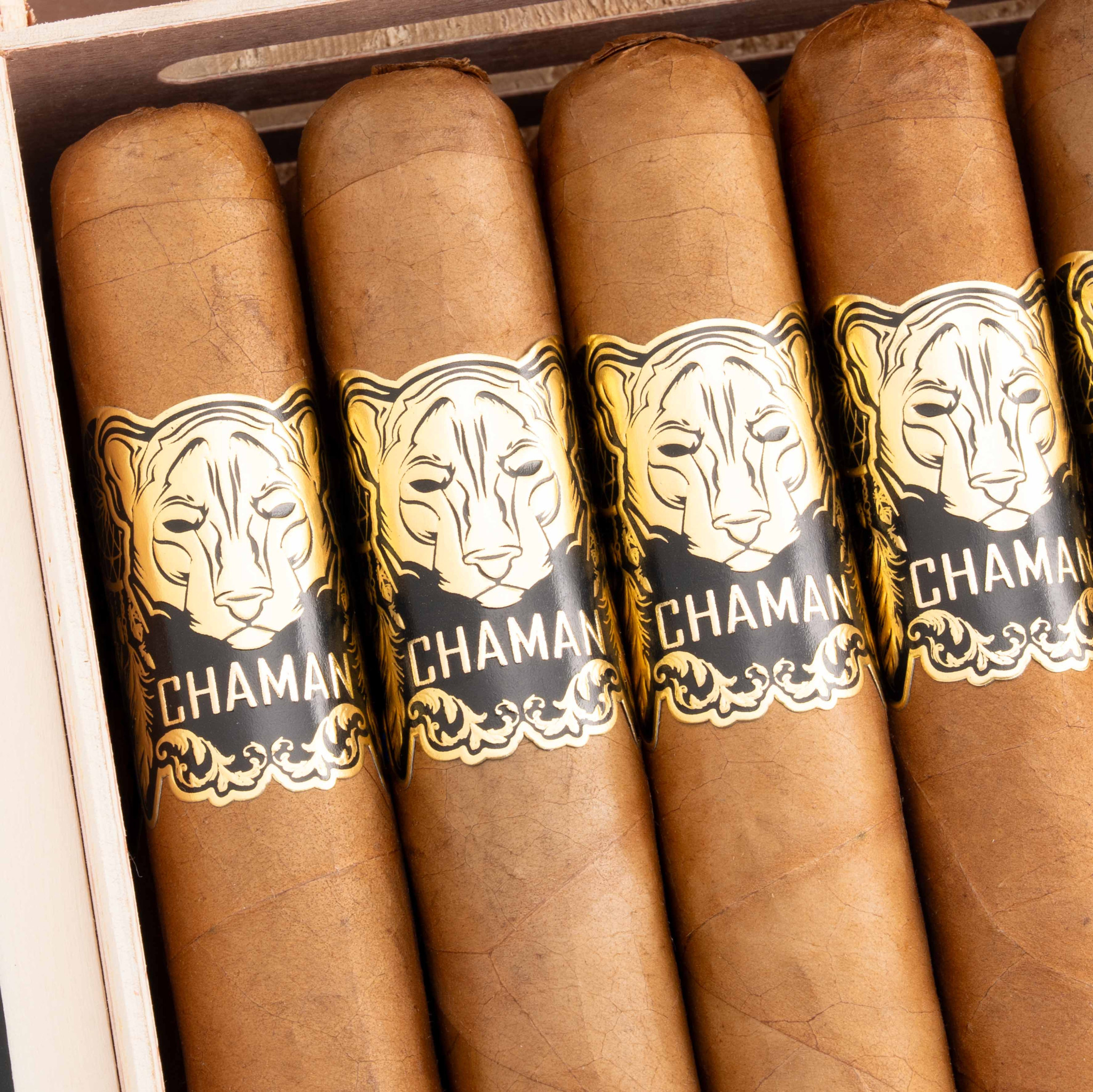Vegas De Santiago Chaman Robusto 聖河谷 薩滿 羅伯圖