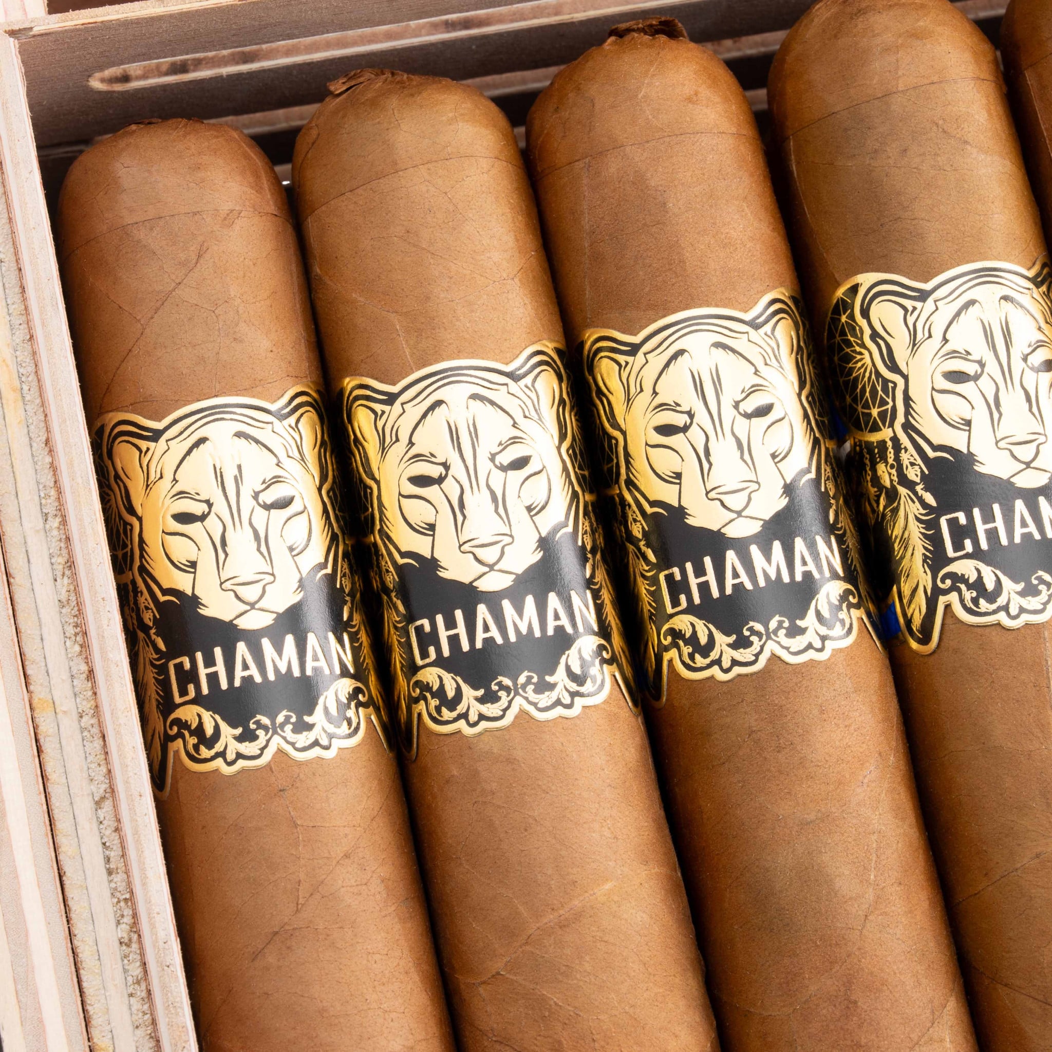 Vegas De Santiago Chaman Wide Churchill 聖河谷 薩滿 寬丘吉爾