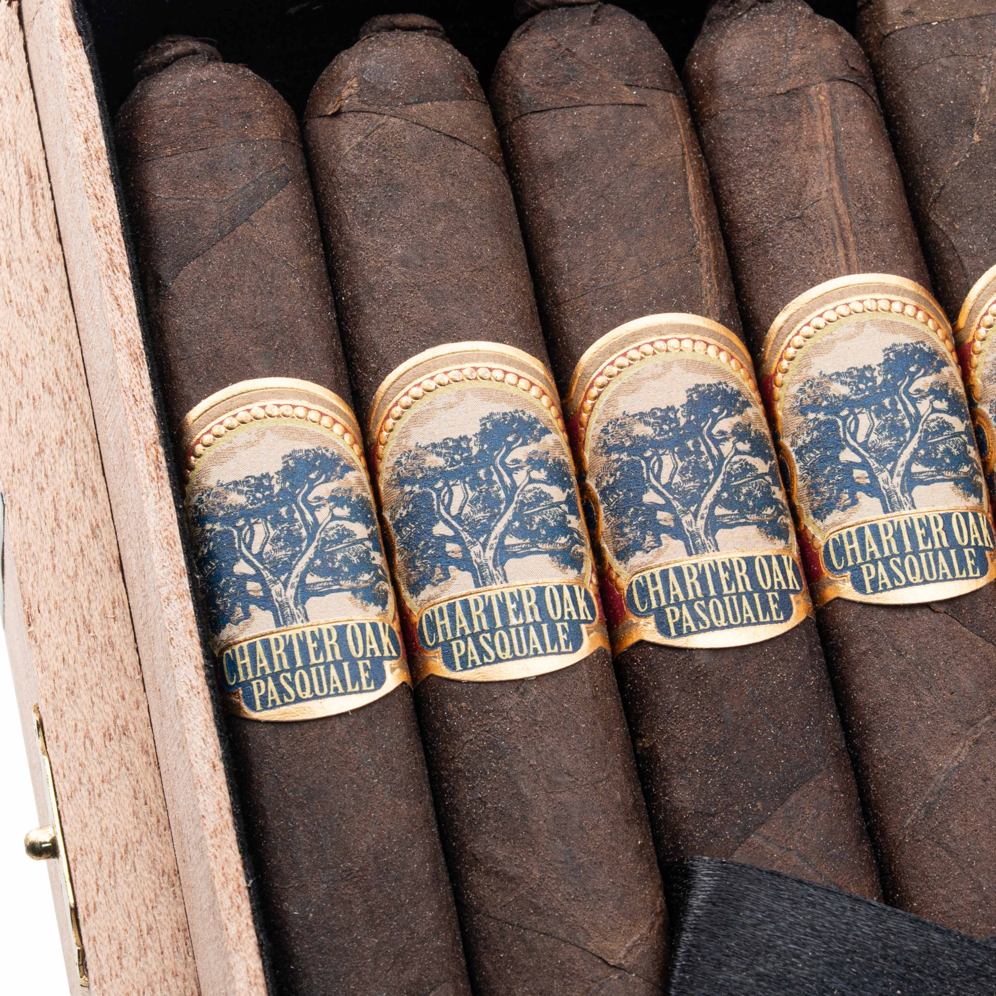 Foundation Charter Oak Especiales CT Broadleaf Pasquale 基地 憲章橡樹 特別系列 CT 闊葉 帕斯夸萊